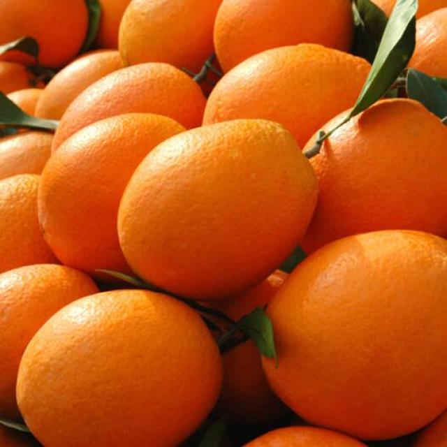新鲜 大橙子 6个
