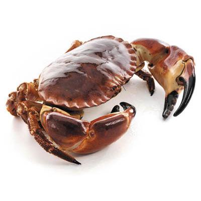 鲜活 面包蟹 【3只】【海鲜】
