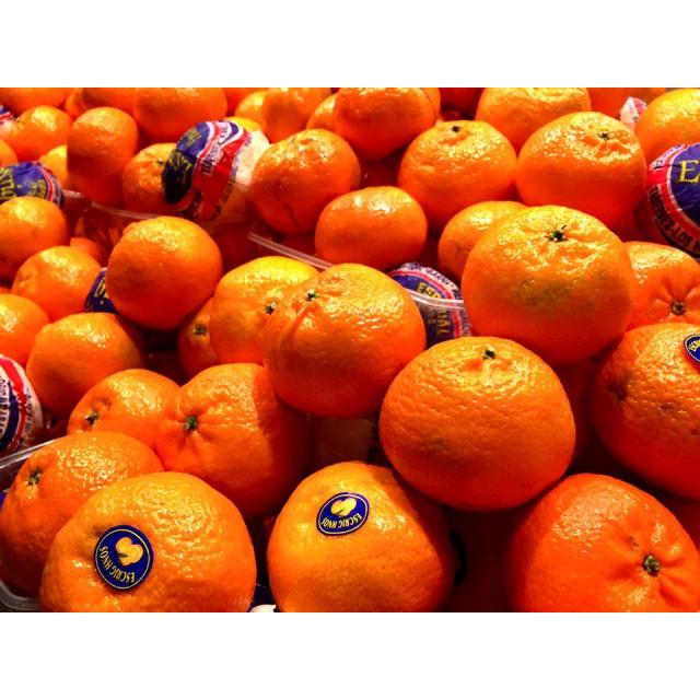 西班牙大橘子（5个）