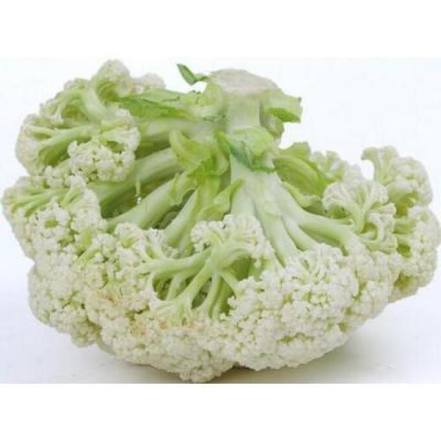 中国福建大菜花 一个公斤（空运）【新鲜蔬菜】